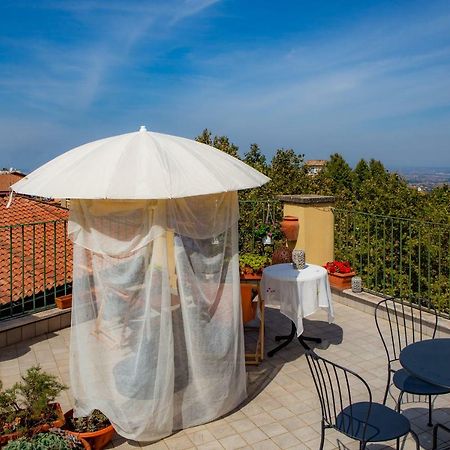 B&B Buonfiglio Cicconcelli - Terrazza Panoramica Frascati Zewnętrze zdjęcie